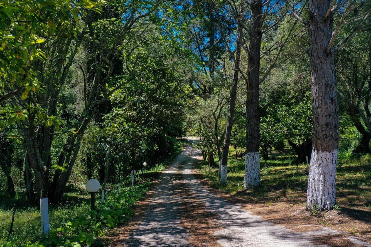 Postatiko Holiday Home Central Corfu Kynopiastai ภายนอก รูปภาพ